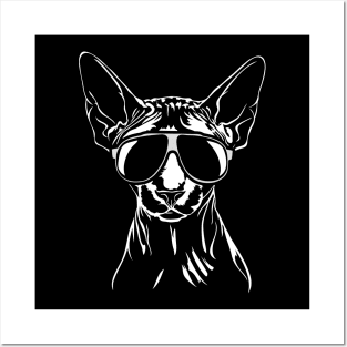 Funny Canadian Sphynx Cat with sunglasses Posters and Art